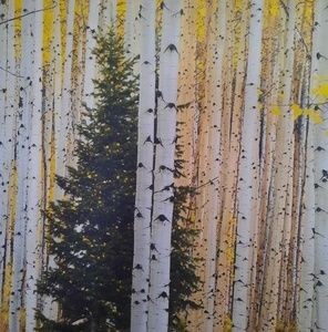 Meet your Posher, Susana